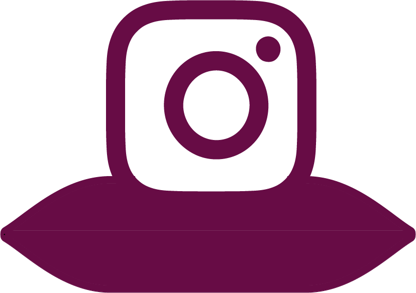 Programa Instagram 30 Dias